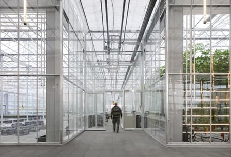 Rooftop Greenhouse Agrotopia